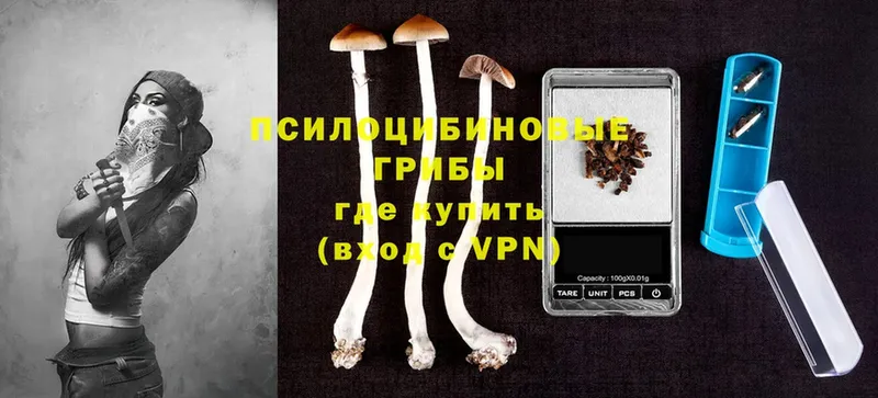 Галлюциногенные грибы Magic Shrooms  Егорьевск 